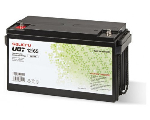 SALICRU BATERIA UBT 12/65 AGM RECARGABLE DE 65 AH/ 12 V (Espera 4 dias)