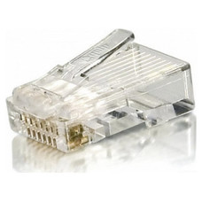 Equip 121143, RJ-45, Transparente, Cat6, Oro, 160 g,