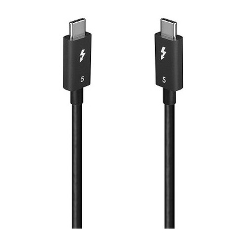 Lindy 31130 cable Thunderbolt 1 m 80 Gbit/s Negro (Espera 4 dias)