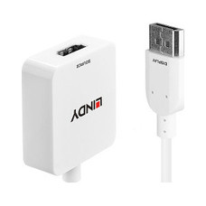 Lindy 38146 adaptador de cable de v&iacute;deo HDMI tipo A (Est&aacute;ndar) DisplayPort Blanco (Espera 4 dias)