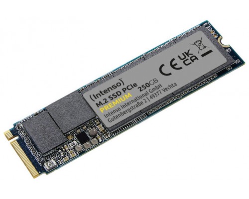 SSD INTENSO 250GB PREMIUM NVMe