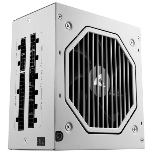 FUENTE ALIMENTACION SHARKOON REBEL P20 GOLD 850W BLANCO