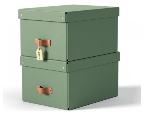 PACK 2 CAJAS DE ALMACENAMIENTO CARTÓN MEDIANA COLOR VERDE LEITZ 61490050 (Espera 4 dias)