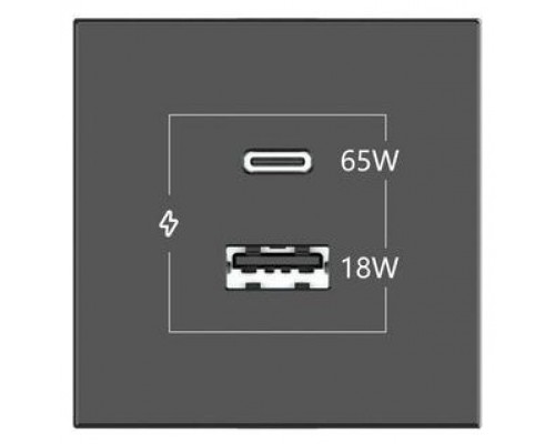 KRAMER CONNECT - ROOM CONNECTIVITY WHITE USBC 65W PORT AND U (Espera 4 dias)