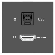 KRAMER ROOM CONNECTIVITY PASSIVE BLACK MODULE WITH 1 HDMI PORT + 1 USBB PORT INPUT.- MD-H+B/AF(B) (80-000358) (Espera 4 dias)
