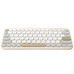 ASU-TEC MARSH KW100 BG-DU7 ASU-TEC MARSH KW100 BG
