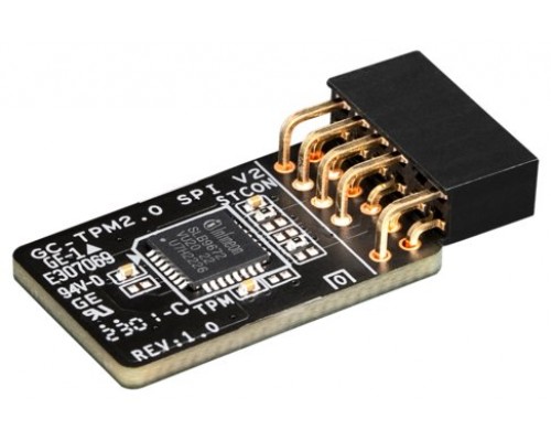 GIGABYTE GC-TPM 2.0 SPI V2 (Espera 4 dias)