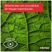 Xerox B310 A4 40 ppm Impresora inalambrica a doble