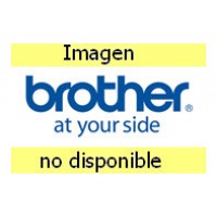 BROTHER Caja de 6 Rollos de etiquetas pre cortadas 102 x 74 mm con recubrimiento (1100 etiquetas)