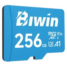 Biwin MS100 microSDXC UHS-1 256GB C10 U3 V30 A1