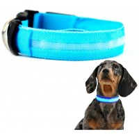 Collar Mascotas LED Biwond Talla M Azul (Espera 2 dias)