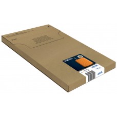 EPSON Multipack 4-colours 405XL EasyMail
