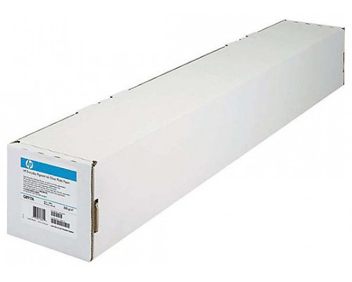 HP PAPEL POLIPROPILENO MATE PACK 2 42"" EVERYDAY 120 g/m2