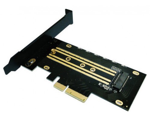 Coolbox Adaptador SSD M.2 NVMe a slot PCIE