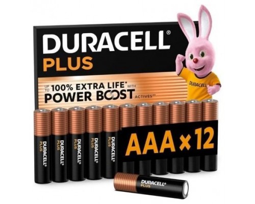 PILAS DURACELL DPBLR3B12-SX2 PILAS DURACELL DPBLR3B12