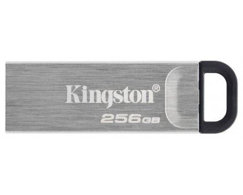 MEMORIA KINGSTON-JETFLASH DTKN 256GB