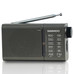 DAE-RADIO DW1035