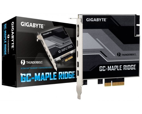 MAPLE RIDGE GIGABYTE (Espera 4 dias)