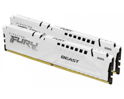 Kingston Technology FURY Beast módulo de memoria 32 GB 2 x 16 GB DDR5 (Espera 4 dias)