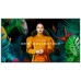 Samsung LH55QMCEBGCXEN pantalla de señalización Pantalla plana para señalización digital 139,7 cm (55") LCD Wifi 500 cd / m² 4K Ultra HD Negro Tizen 24/7 (Espera 4 dias)