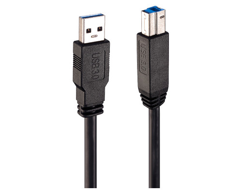 Lindy 43098 cable USB USB 3.2 Gen 1 (3.1 Gen 1) 10 m USB A USB B Negro (Espera 4 dias)