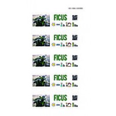 Floralabels Etiquetas de lazo 38x250 mm, 5 por hoja  OKIMED26