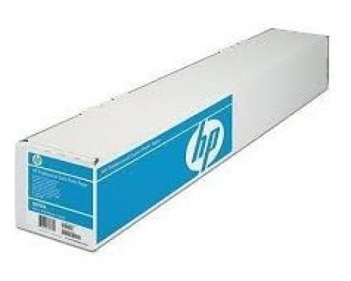 HP Papel Professional Satinado Photo 300g/m2