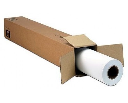 HP Rollo de Papel Everyday Instant dry santin foto 36" 914mm X 30.5m 235gr