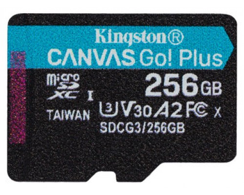 Kingston Technology Canvas Go! Plus memoria flash 256 GB MicroSD Clase 10 UHS-I (Espera 4 dias)