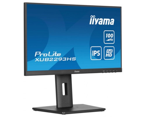 MONITOR IIYAMA  TFT 21,5"/54,5CM PROLITE (Espera 4 dias)